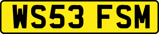 WS53FSM
