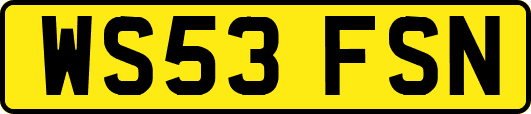 WS53FSN