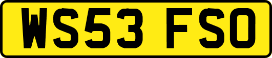 WS53FSO