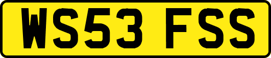 WS53FSS