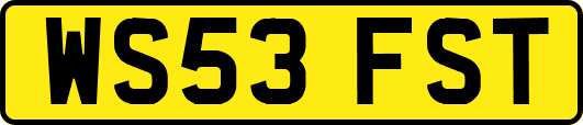 WS53FST