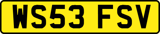 WS53FSV