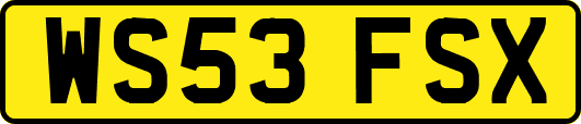 WS53FSX