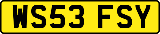 WS53FSY