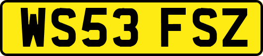 WS53FSZ