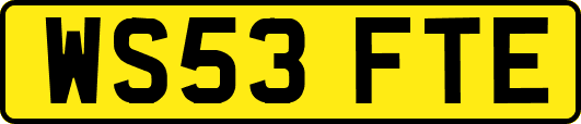 WS53FTE