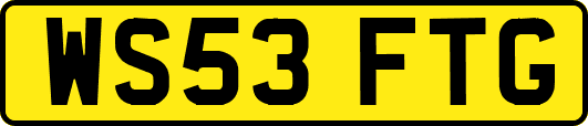 WS53FTG