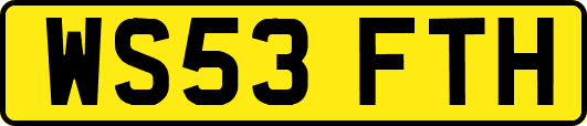 WS53FTH