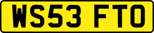 WS53FTO