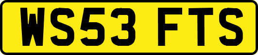 WS53FTS