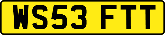 WS53FTT