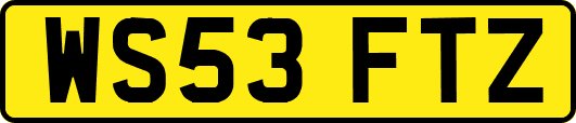 WS53FTZ