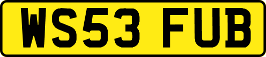 WS53FUB