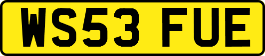 WS53FUE