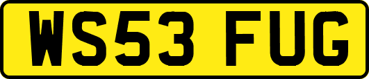 WS53FUG