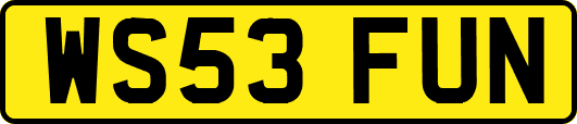 WS53FUN