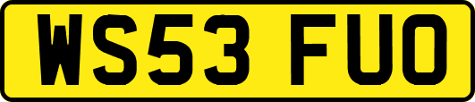 WS53FUO