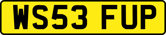 WS53FUP