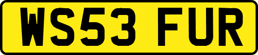 WS53FUR