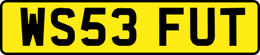 WS53FUT