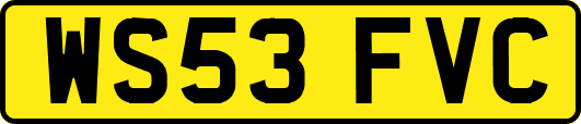 WS53FVC