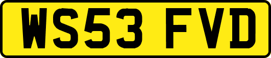 WS53FVD