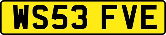 WS53FVE