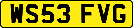 WS53FVG