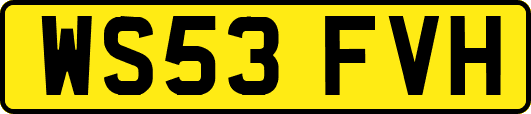 WS53FVH