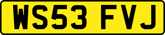 WS53FVJ