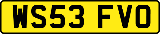 WS53FVO