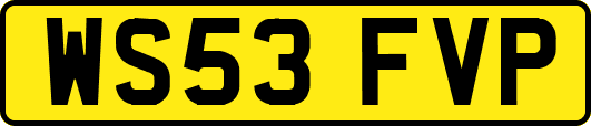 WS53FVP