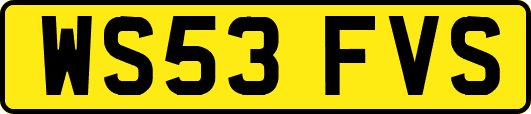 WS53FVS
