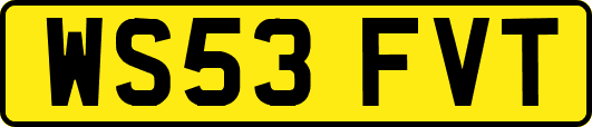 WS53FVT