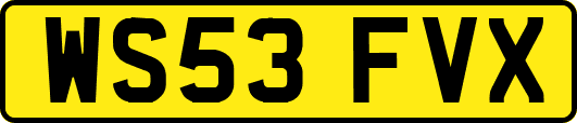 WS53FVX
