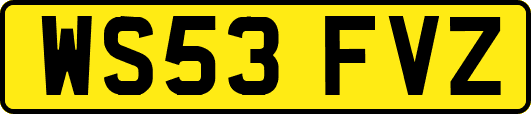WS53FVZ