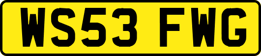 WS53FWG