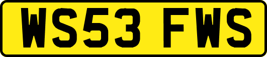 WS53FWS