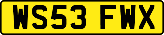 WS53FWX