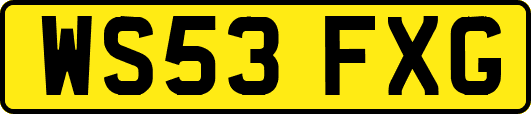 WS53FXG