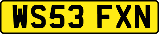 WS53FXN