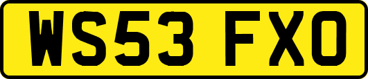 WS53FXO
