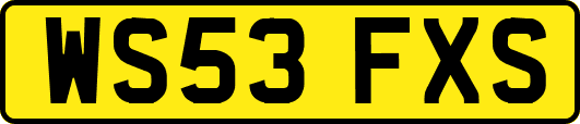 WS53FXS