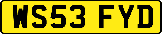 WS53FYD