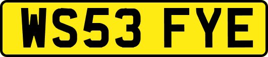 WS53FYE