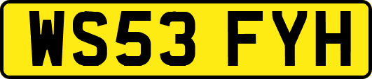 WS53FYH