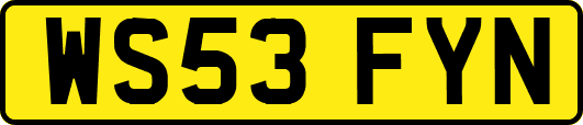 WS53FYN