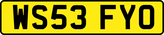WS53FYO