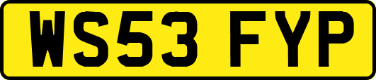 WS53FYP