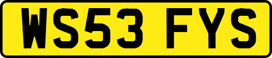 WS53FYS